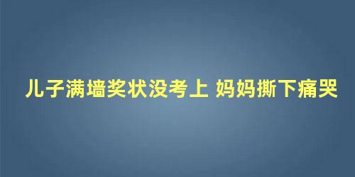 儿子满墙奖状没考上 妈妈撕下痛哭